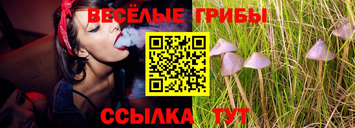 Псилоцибиновые грибы GOLDEN TEACHER Шахты